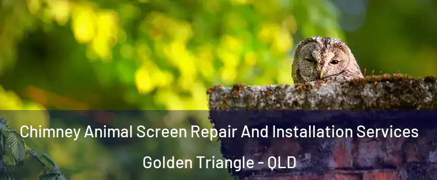 Chimney Animal Screen Repair And Installation Services Golden Triangle - QLD