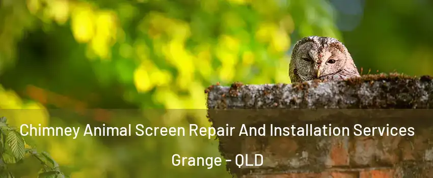 Chimney Animal Screen Repair And Installation Services Grange - QLD