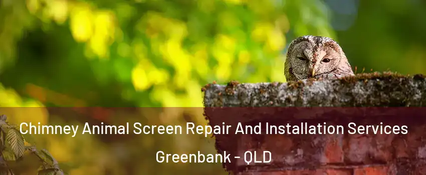 Chimney Animal Screen Repair And Installation Services Greenbank - QLD