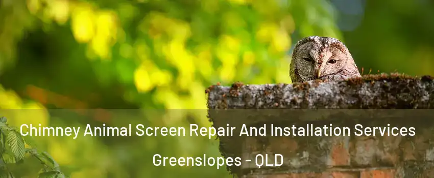 Chimney Animal Screen Repair And Installation Services Greenslopes - QLD