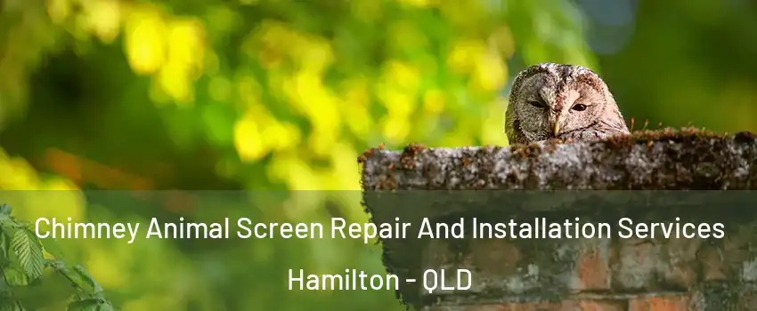 Chimney Animal Screen Repair And Installation Services Hamilton - QLD