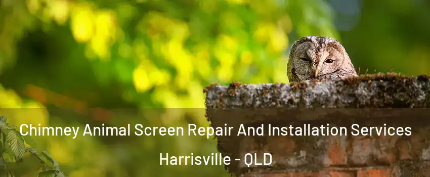 Chimney Animal Screen Repair And Installation Services Harrisville - QLD