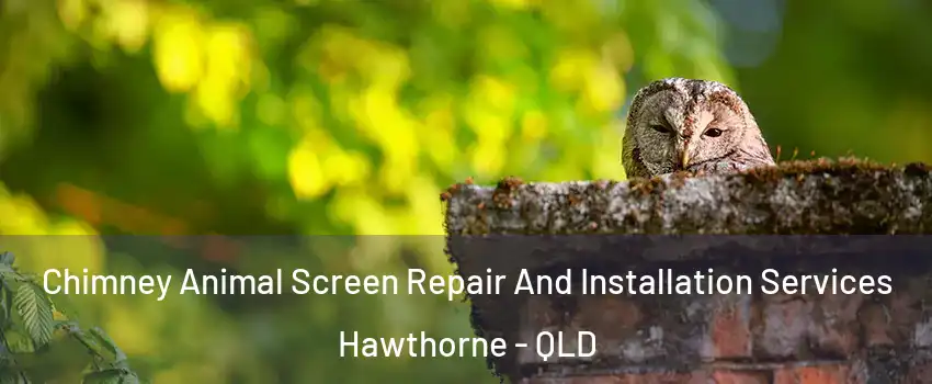  Chimney Animal Screen Repair And Installation Services Hawthorne - QLD