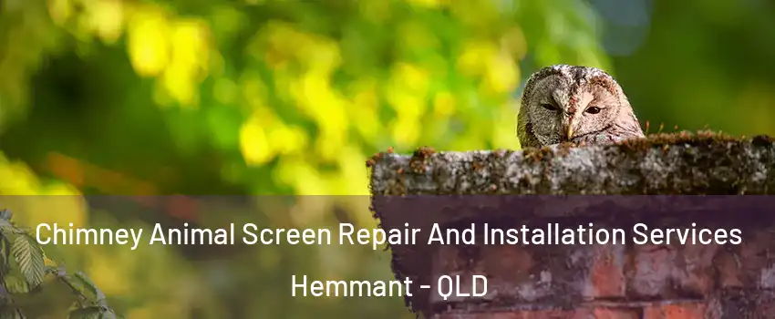Chimney Animal Screen Repair And Installation Services Hemmant - QLD