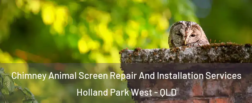 Chimney Animal Screen Repair And Installation Services Holland Park West - QLD