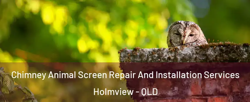 Chimney Animal Screen Repair And Installation Services Holmview - QLD