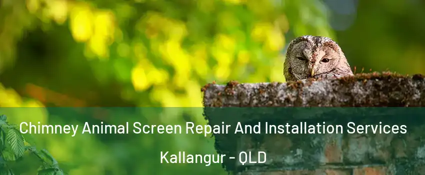 Chimney Animal Screen Repair And Installation Services Kallangur - QLD