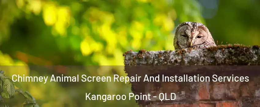  Chimney Animal Screen Repair And Installation Services Kangaroo Point - QLD