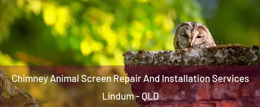 Chimney Animal Screen Repair And Installation Services Lindum - QLD