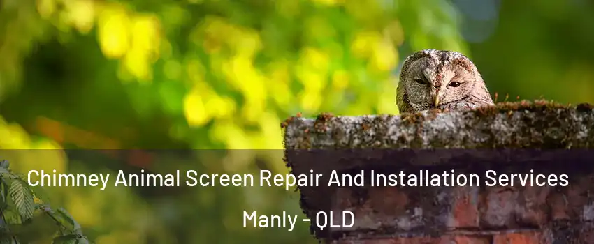 Chimney Animal Screen Repair And Installation Services Manly - QLD