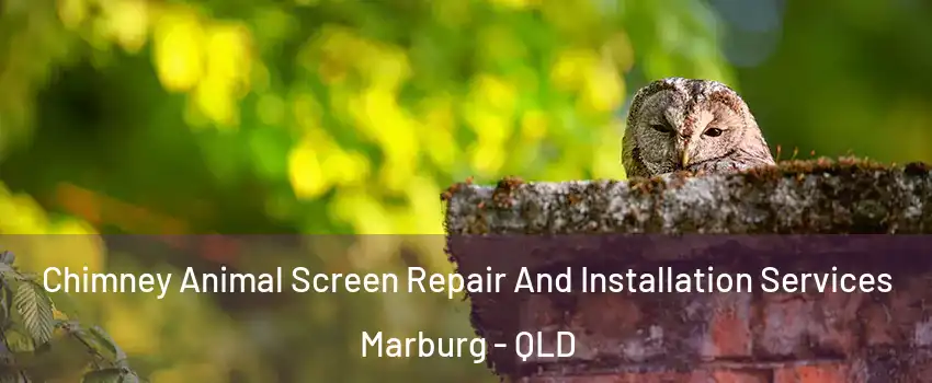Chimney Animal Screen Repair And Installation Services Marburg - QLD