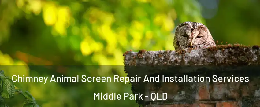 Chimney Animal Screen Repair And Installation Services Middle Park - QLD