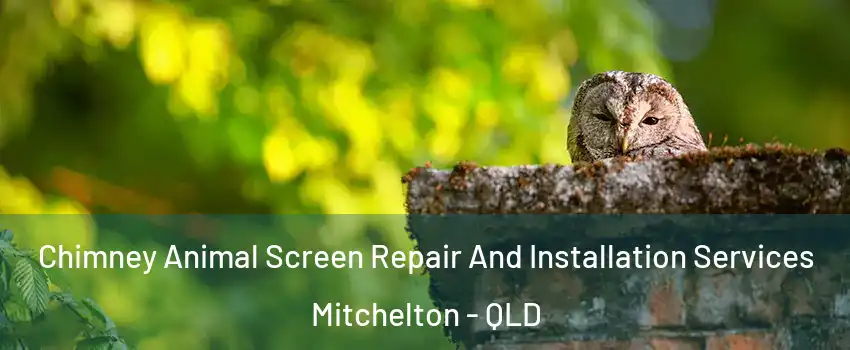 Chimney Animal Screen Repair And Installation Services Mitchelton - QLD