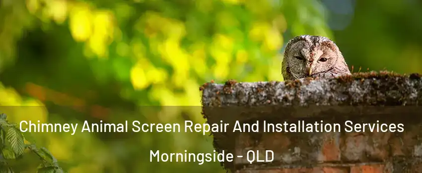 Chimney Animal Screen Repair And Installation Services Morningside - QLD