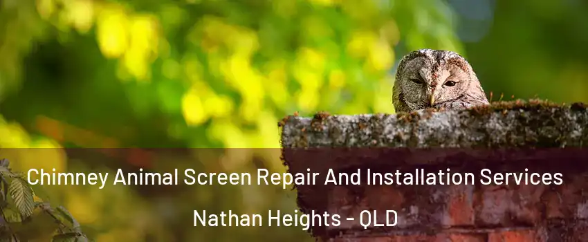 Chimney Animal Screen Repair And Installation Services Nathan Heights - QLD