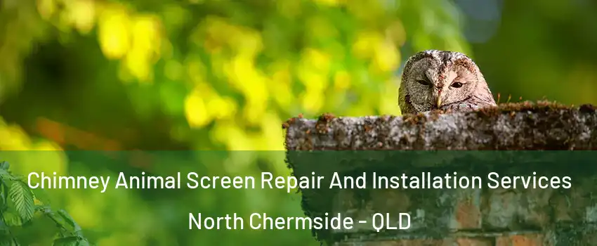 Chimney Animal Screen Repair And Installation Services North Chermside - QLD