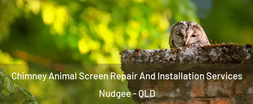  Chimney Animal Screen Repair And Installation Services Nudgee - QLD