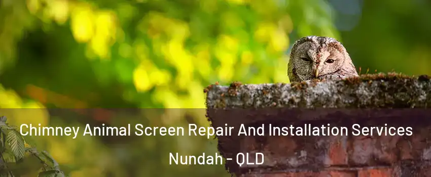 Chimney Animal Screen Repair And Installation Services Nundah - QLD