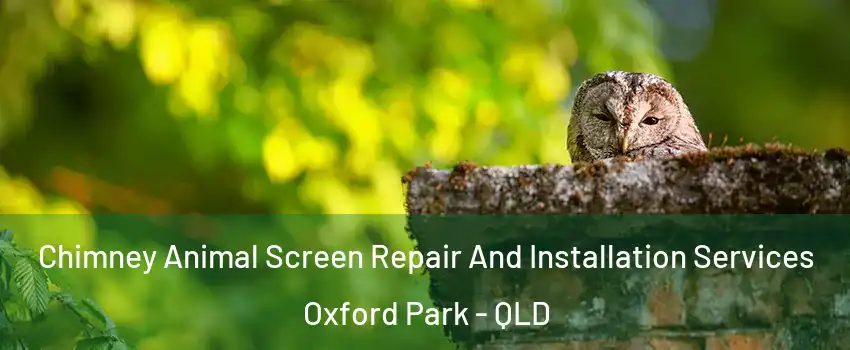 Chimney Animal Screen Repair And Installation Services Oxford Park - QLD