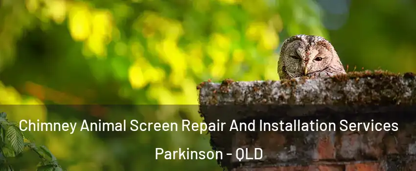 Chimney Animal Screen Repair And Installation Services Parkinson - QLD