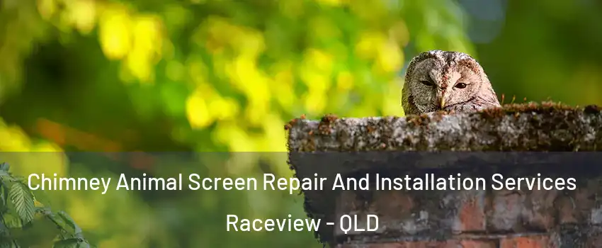 Chimney Animal Screen Repair And Installation Services Raceview - QLD