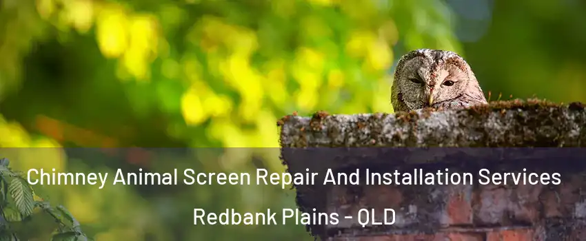 Chimney Animal Screen Repair And Installation Services Redbank Plains - QLD