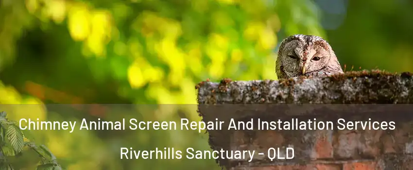Chimney Animal Screen Repair And Installation Services Riverhills Sanctuary - QLD
