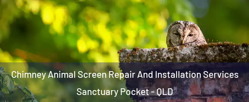 Chimney Animal Screen Repair And Installation Services Sanctuary Pocket - QLD