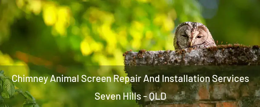 Chimney Animal Screen Repair And Installation Services Seven Hills - QLD