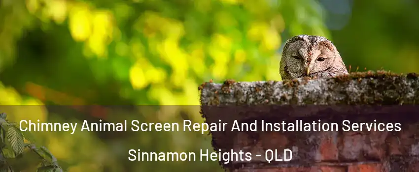 Chimney Animal Screen Repair And Installation Services Sinnamon Heights - QLD