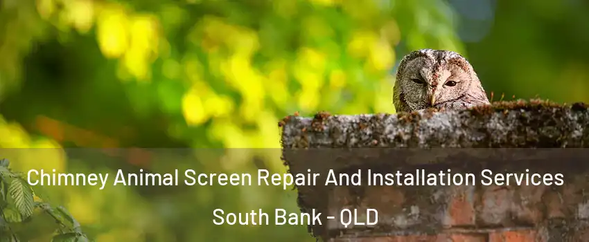 Chimney Animal Screen Repair And Installation Services South Bank - QLD