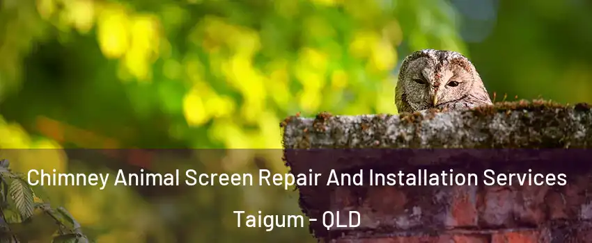 Chimney Animal Screen Repair And Installation Services Taigum - QLD