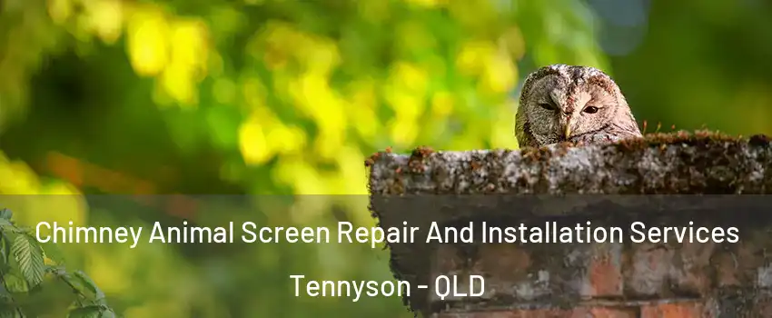 Chimney Animal Screen Repair And Installation Services Tennyson - QLD