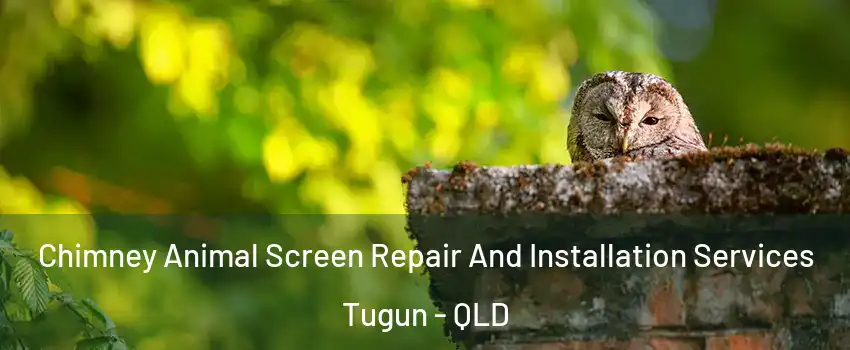  Chimney Animal Screen Repair And Installation Services Tugun - QLD