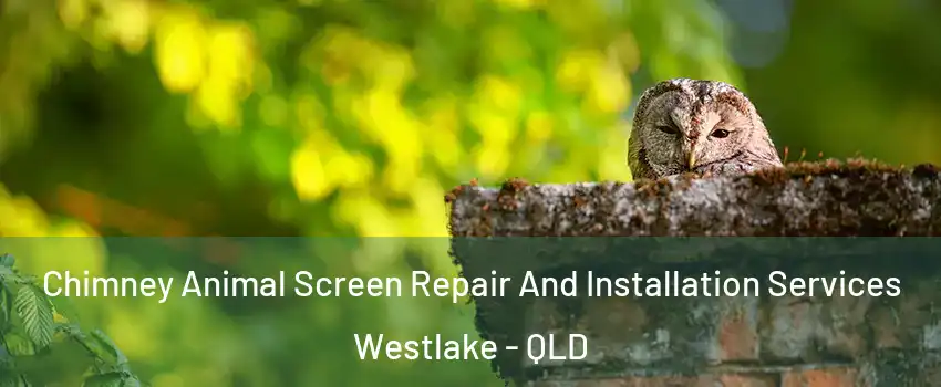 Chimney Animal Screen Repair And Installation Services Westlake - QLD