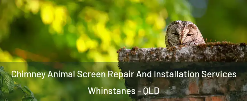 Chimney Animal Screen Repair And Installation Services Whinstanes - QLD