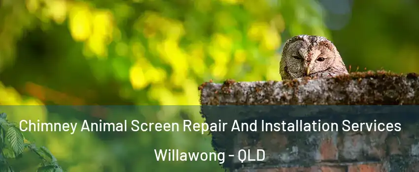 Chimney Animal Screen Repair And Installation Services Willawong - QLD