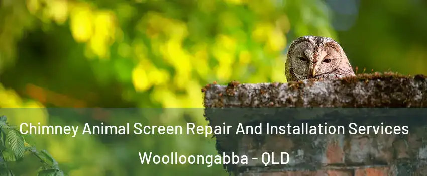 Chimney Animal Screen Repair And Installation Services Woolloongabba - QLD
