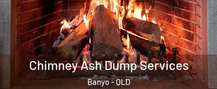Chimney Ash Dump Services Banyo - QLD