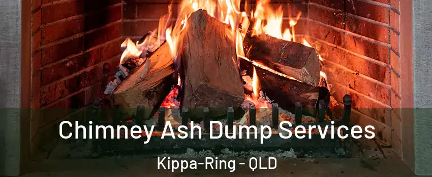  Chimney Ash Dump Services Kippa-Ring - QLD