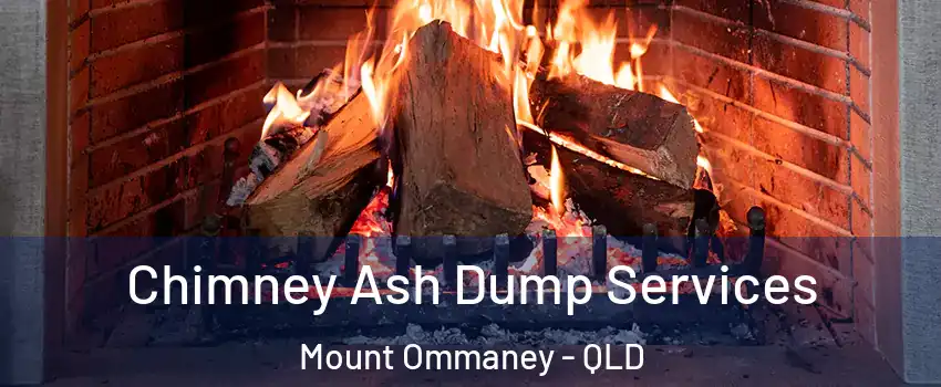 Chimney Ash Dump Services Mount Ommaney - QLD