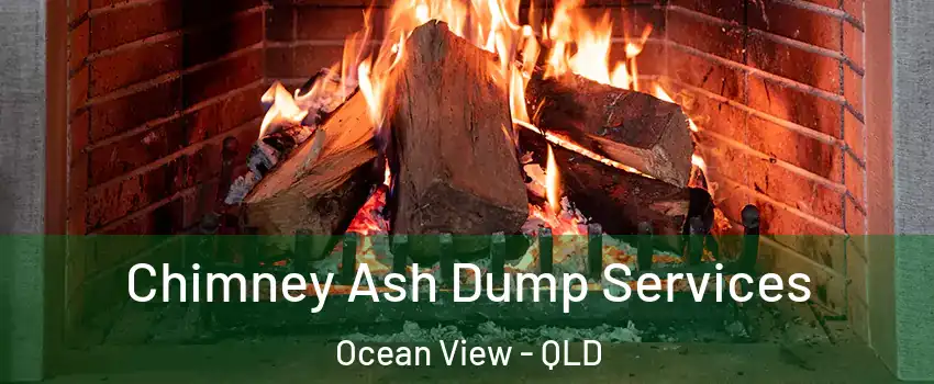 Chimney Ash Dump Services Ocean View - QLD