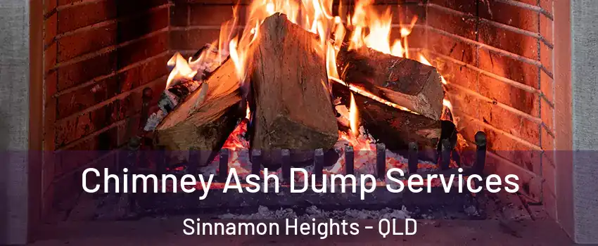 Chimney Ash Dump Services Sinnamon Heights - QLD