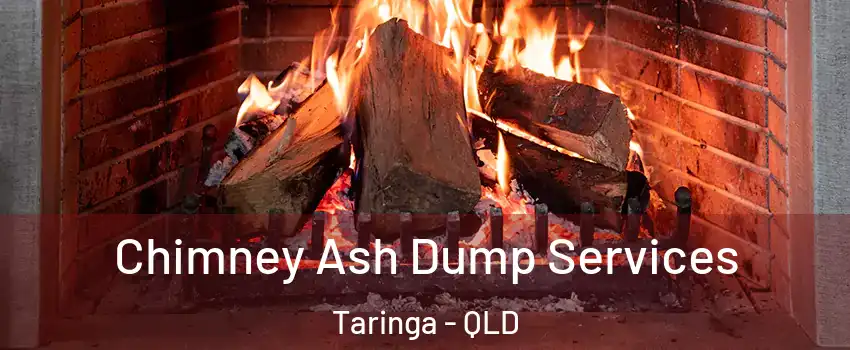 Chimney Ash Dump Services Taringa - QLD