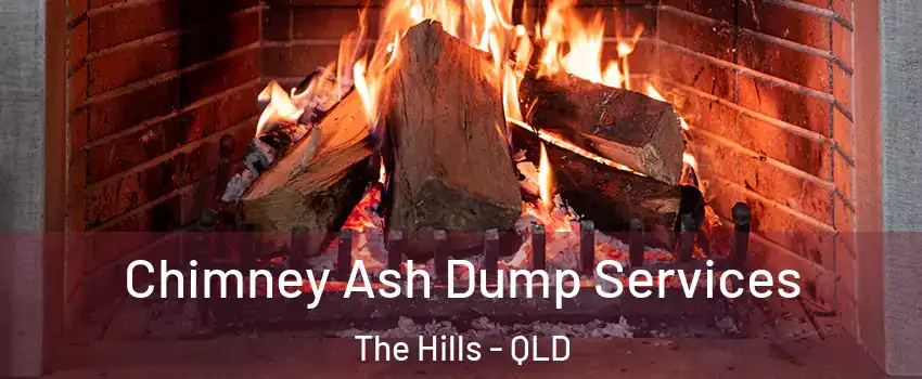 Chimney Ash Dump Services The Hills - QLD