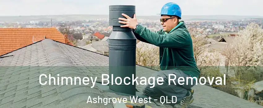 Chimney Blockage Removal Ashgrove West - QLD