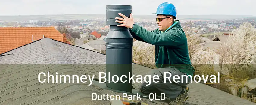 Chimney Blockage Removal Dutton Park - QLD