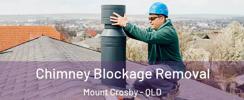 Chimney Blockage Removal Mount Crosby - QLD