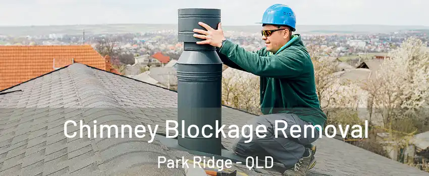 Chimney Blockage Removal Park Ridge - QLD