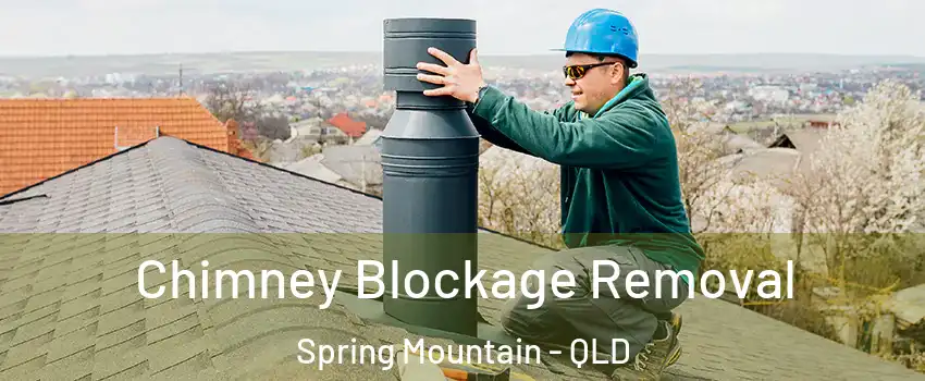 Chimney Blockage Removal Spring Mountain - QLD